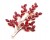 55deed8b0a1a2aba6816d5edadfbf36c