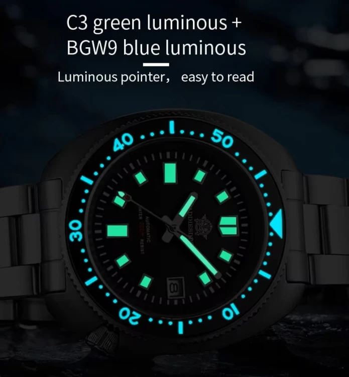 c6c9c85dbcd244a45c24c20edb1dee3a