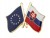 PRZYPINKA PIN FLAGA UNII EUROPEJSKIEJ-SŁOWACJI, SŁOWACJA UE UNIA EUROPEJSKA