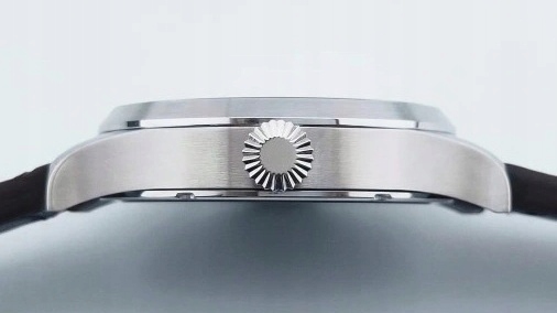 Luksusowy zegarek mechaniczny diver styl luminous z oddzielnym sekundnikiem