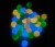 3973b11924bcaea1d8edf6d2ce59008f