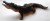 182daf031d282dc3f17318e162c605a7